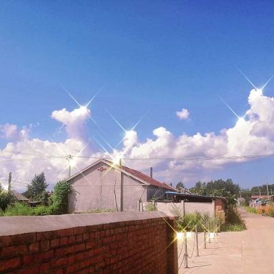 开云·体育(KYSports)