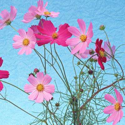 泛亚电竞APP最新版